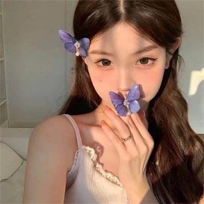 伏藏师